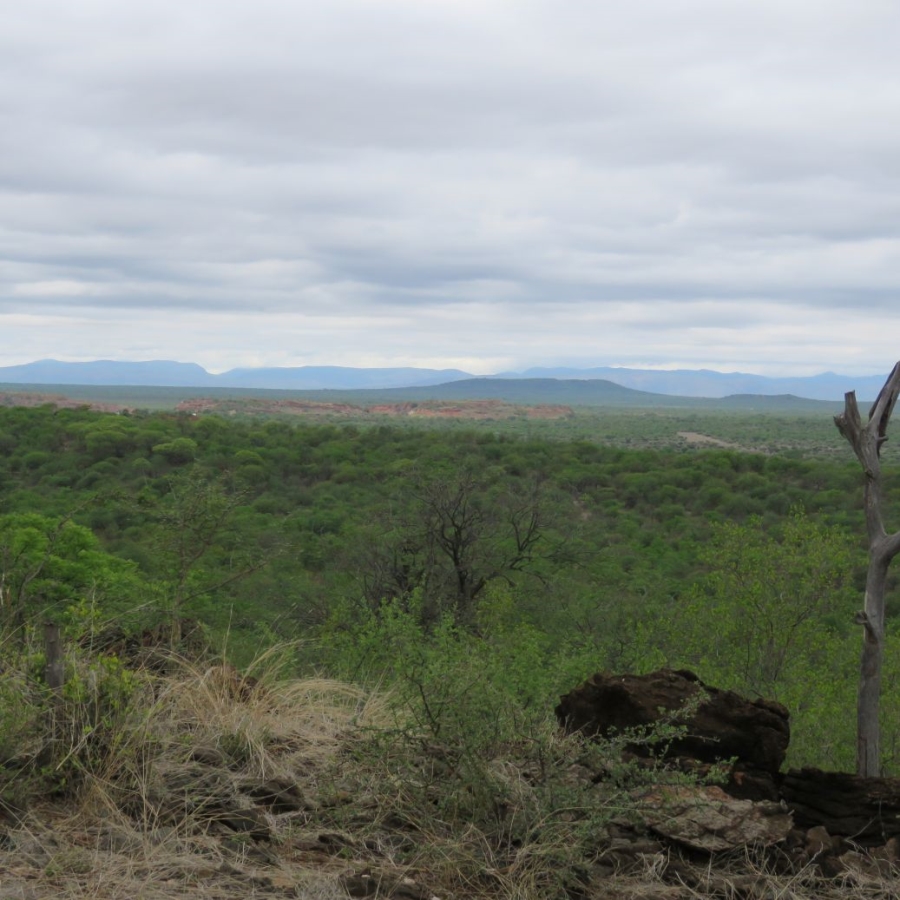 3 Bedroom Property for Sale in Bale Limpopo