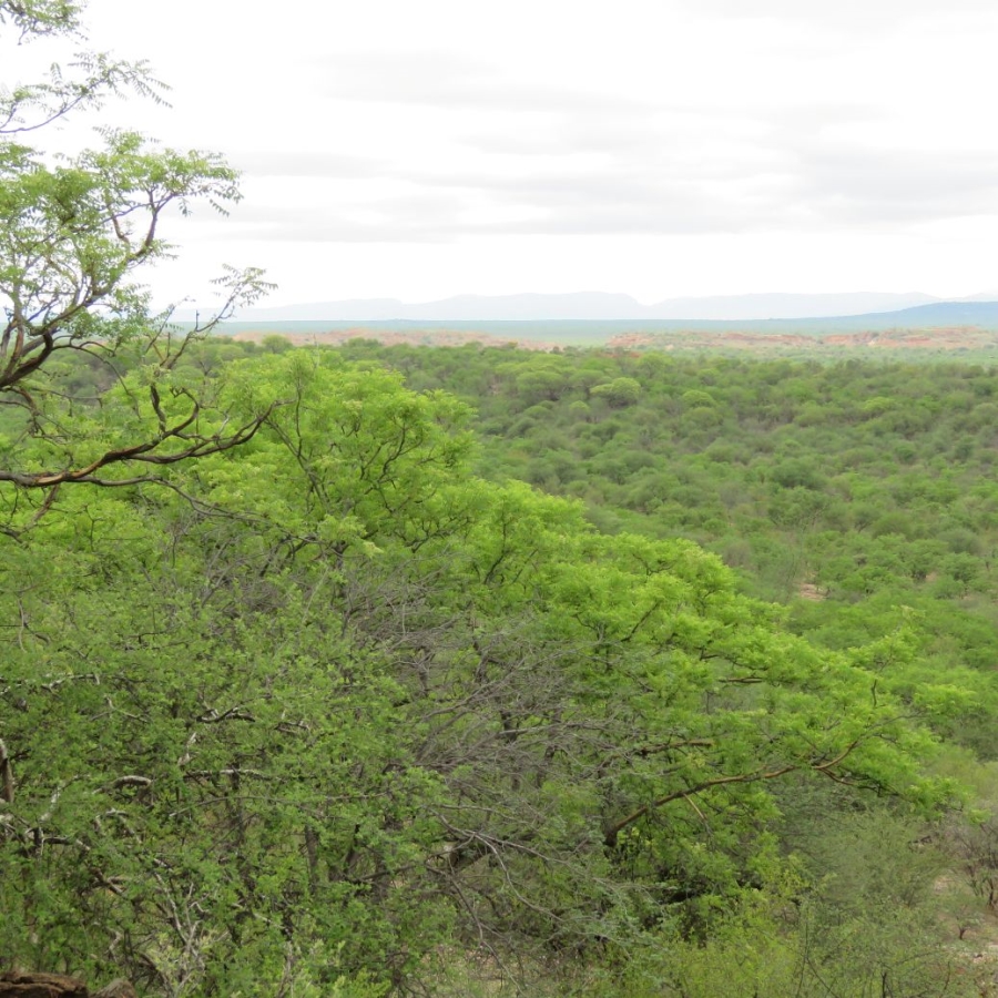 3 Bedroom Property for Sale in Bale Limpopo