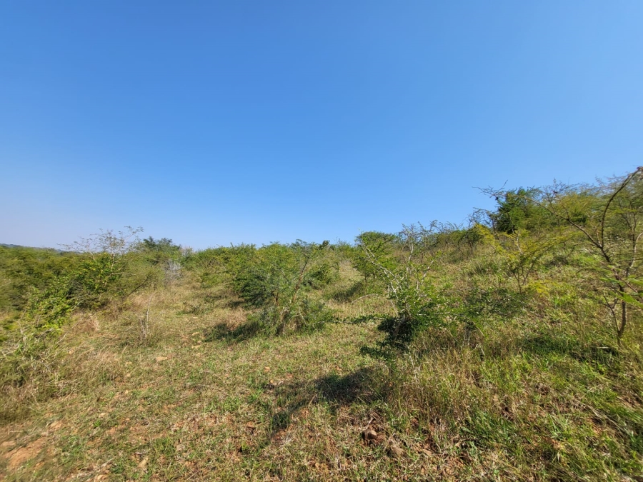 Commercial Property for Sale in Mangondi B Limpopo