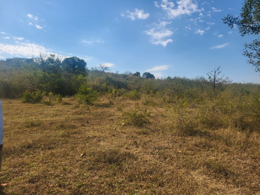 Commercial Property for Sale in Mangondi B Limpopo