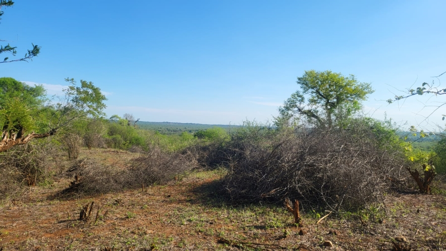 Commercial Property for Sale in Mangondi B Limpopo