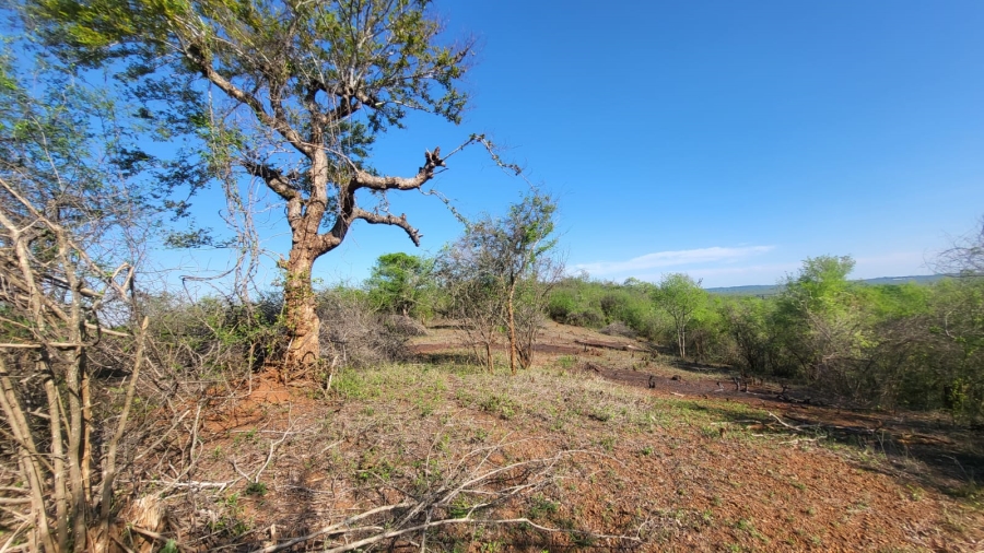 Commercial Property for Sale in Mangondi B Limpopo