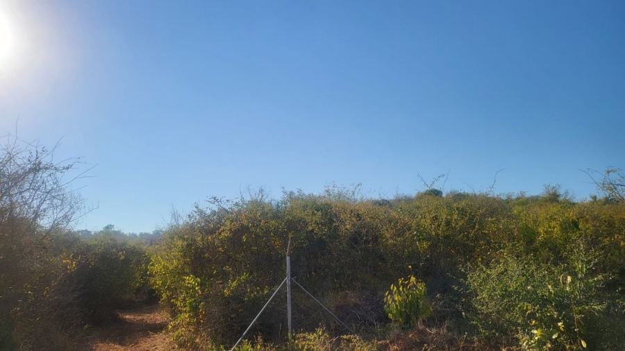 Commercial Property for Sale in Mangondi B Limpopo