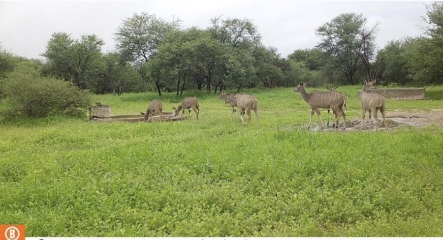 4 Bedroom Property for Sale in Lephalale Limpopo