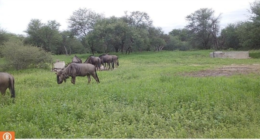 4 Bedroom Property for Sale in Lephalale Limpopo