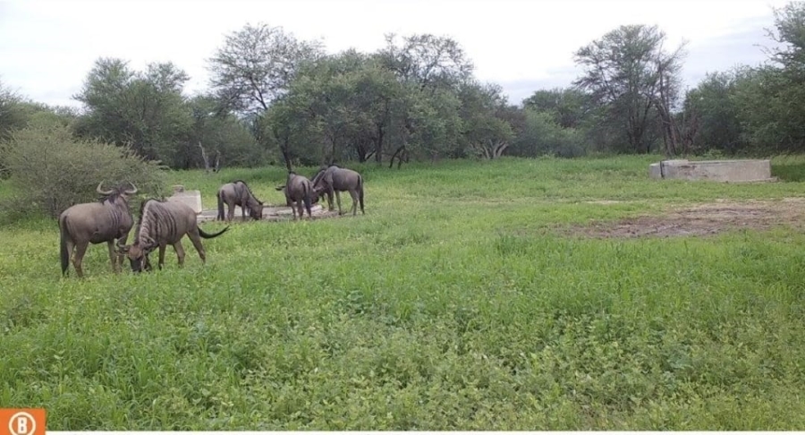 4 Bedroom Property for Sale in Lephalale Limpopo