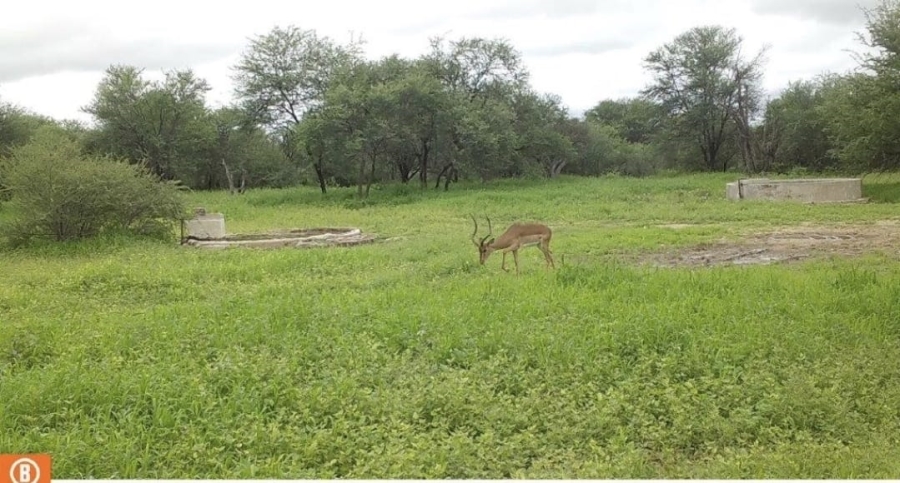 4 Bedroom Property for Sale in Lephalale Limpopo