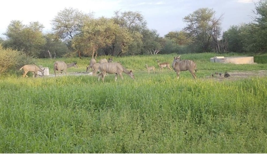 4 Bedroom Property for Sale in Lephalale Limpopo