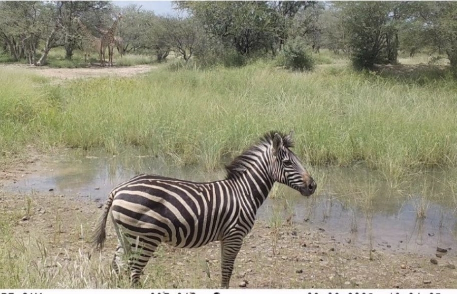 4 Bedroom Property for Sale in Lephalale Limpopo