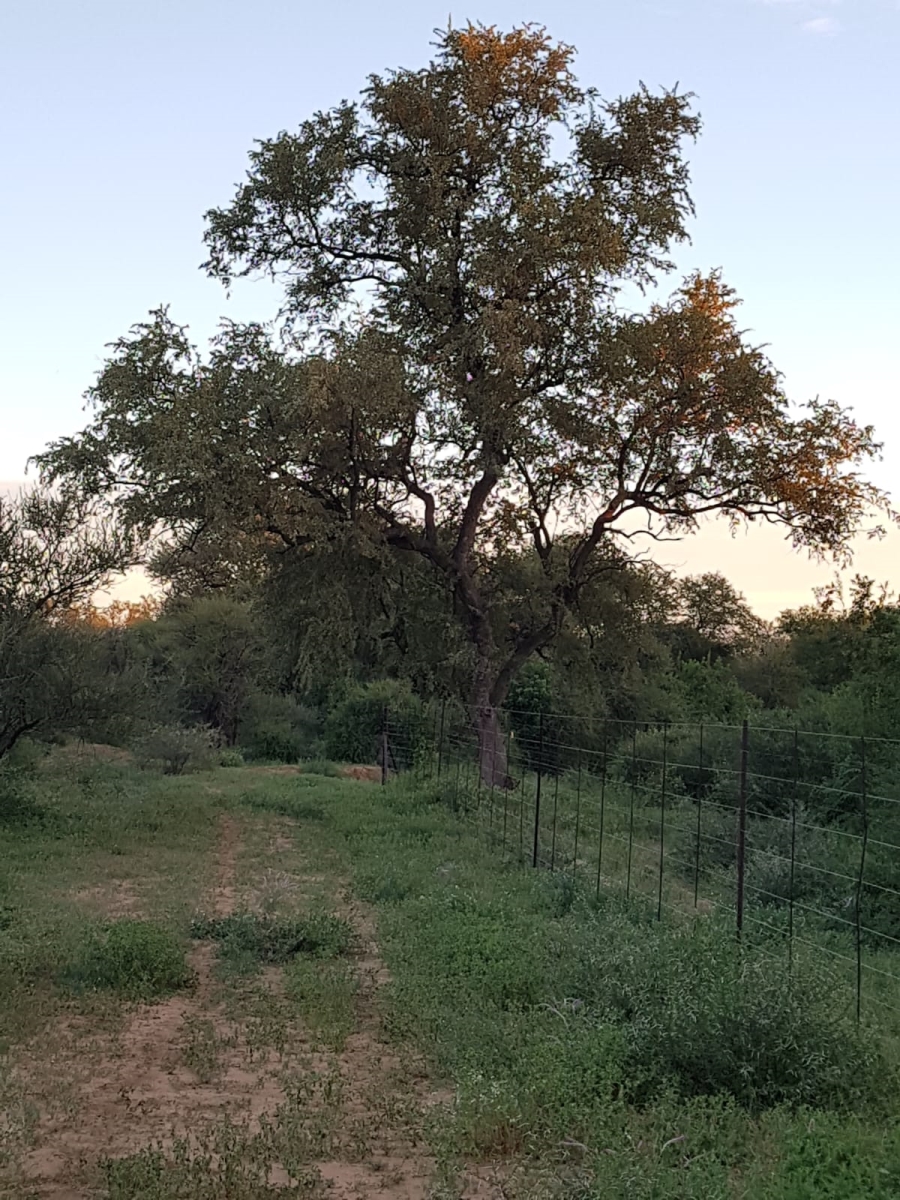 4 Bedroom Property for Sale in Thabazimbi Limpopo