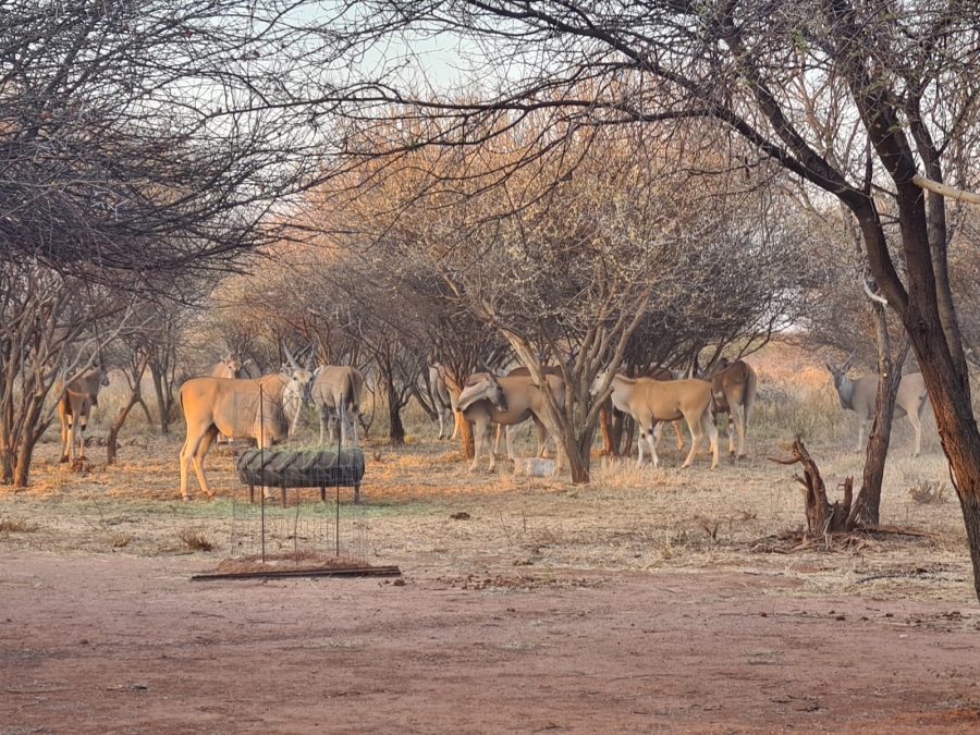 4 Bedroom Property for Sale in Thabazimbi Limpopo