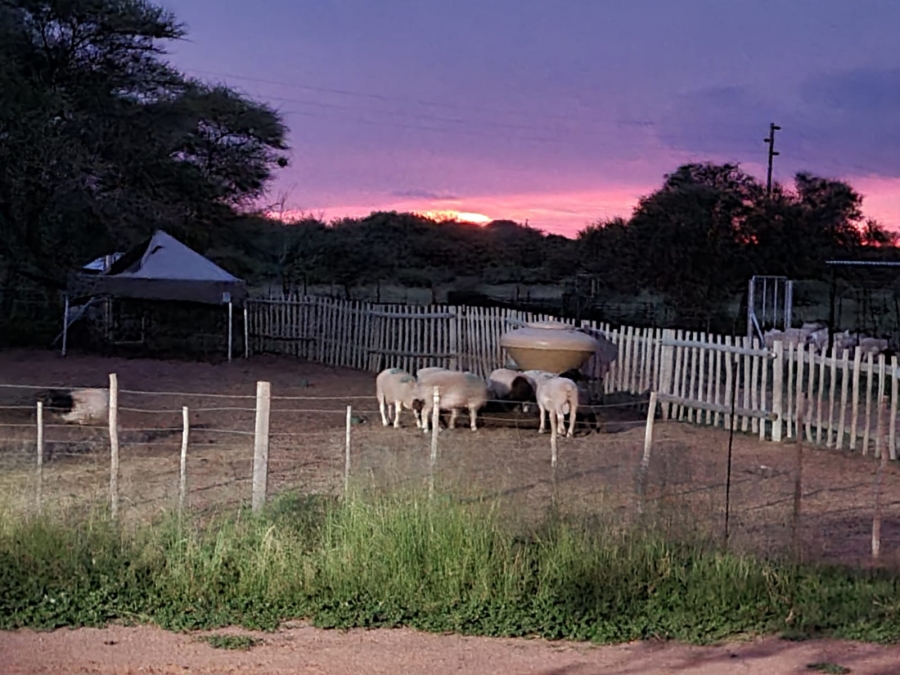 4 Bedroom Property for Sale in Thabazimbi Limpopo