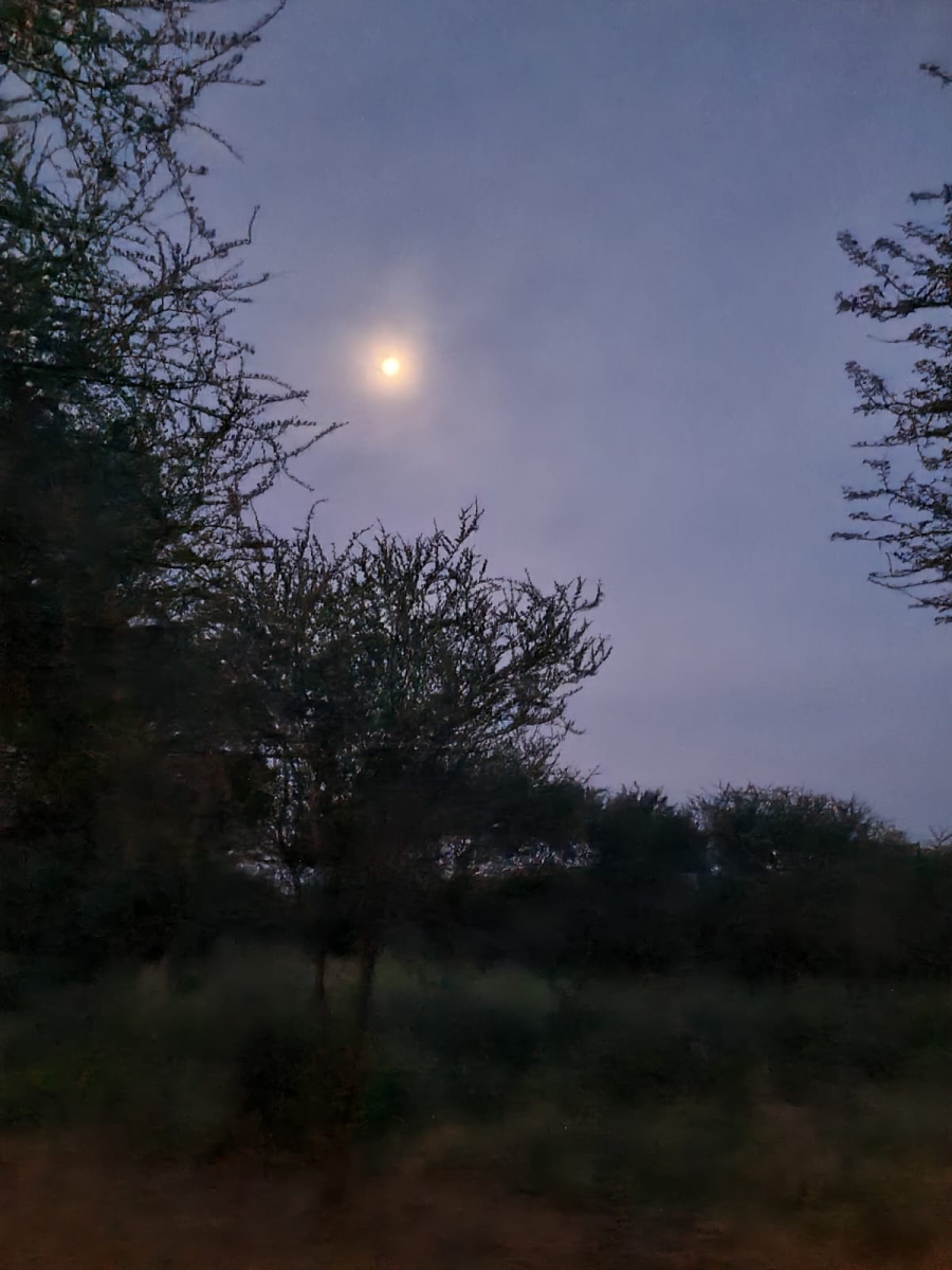 4 Bedroom Property for Sale in Thabazimbi Limpopo