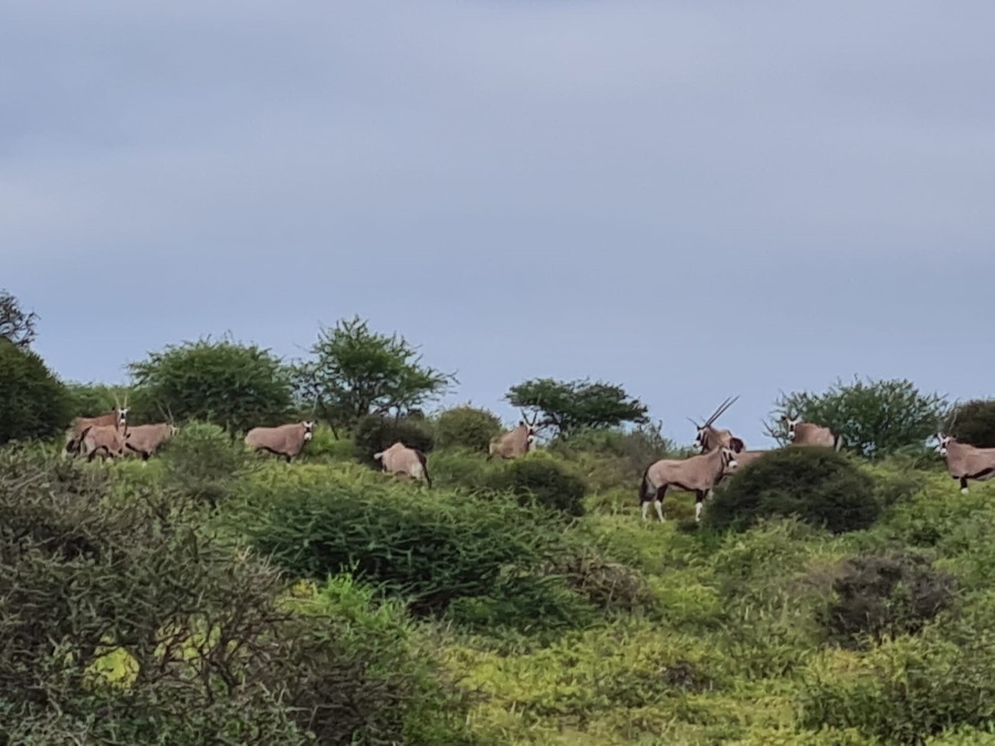 4 Bedroom Property for Sale in Thabazimbi Limpopo