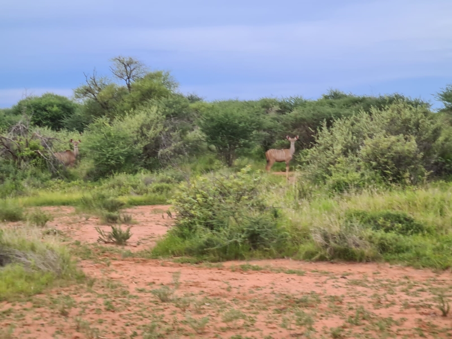 4 Bedroom Property for Sale in Thabazimbi Limpopo