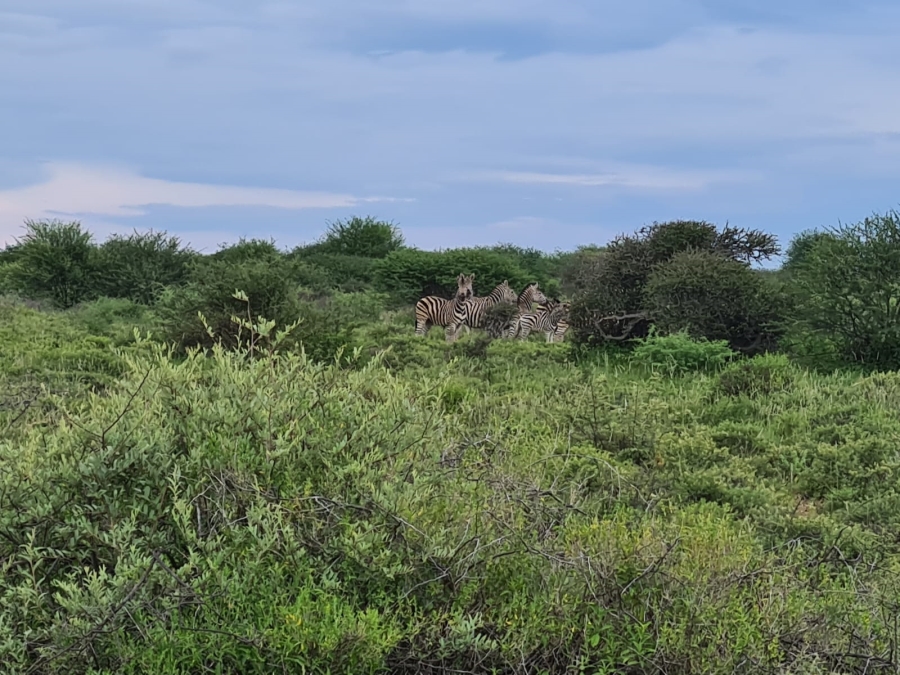 4 Bedroom Property for Sale in Thabazimbi Limpopo