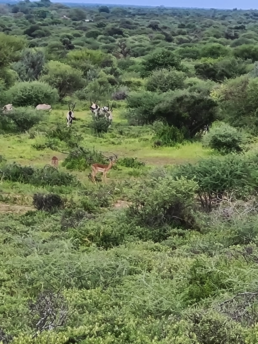 4 Bedroom Property for Sale in Thabazimbi Limpopo