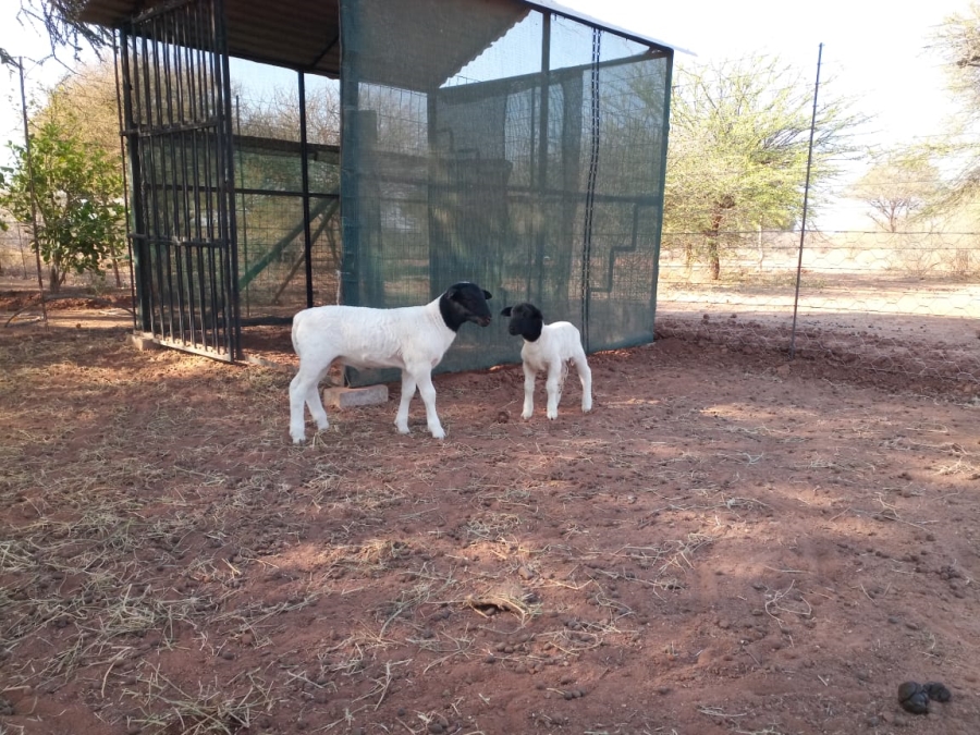 4 Bedroom Property for Sale in Thabazimbi Limpopo