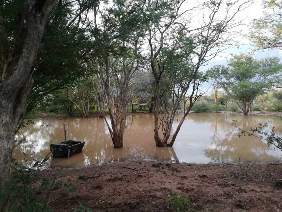 4 Bedroom Property for Sale in Thabazimbi Limpopo