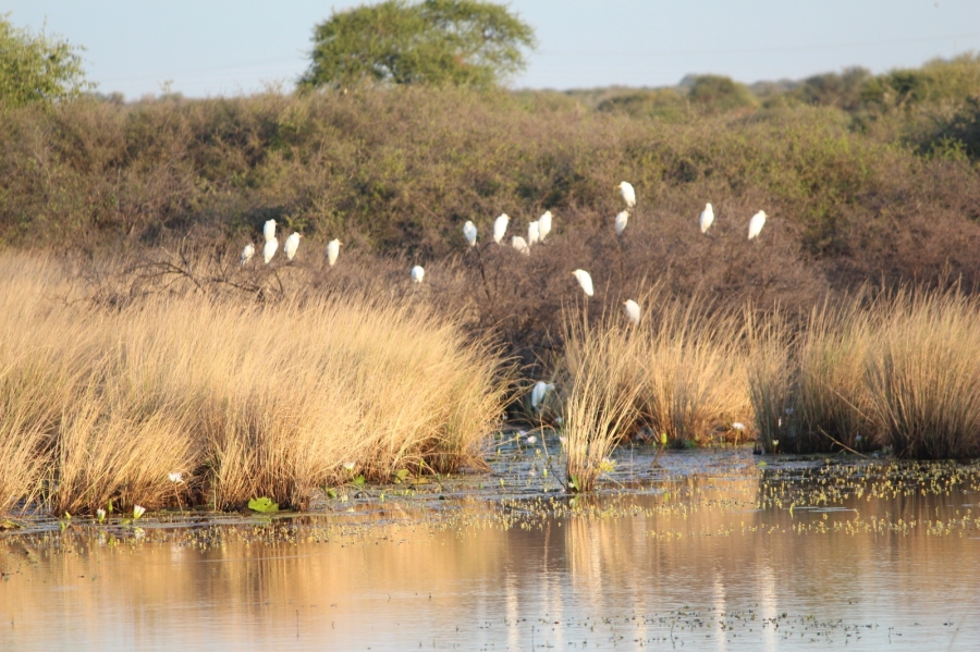 4 Bedroom Property for Sale in Thabazimbi Limpopo