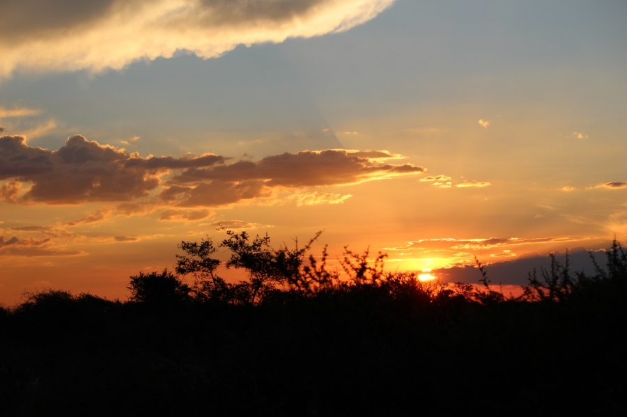 4 Bedroom Property for Sale in Thabazimbi Limpopo