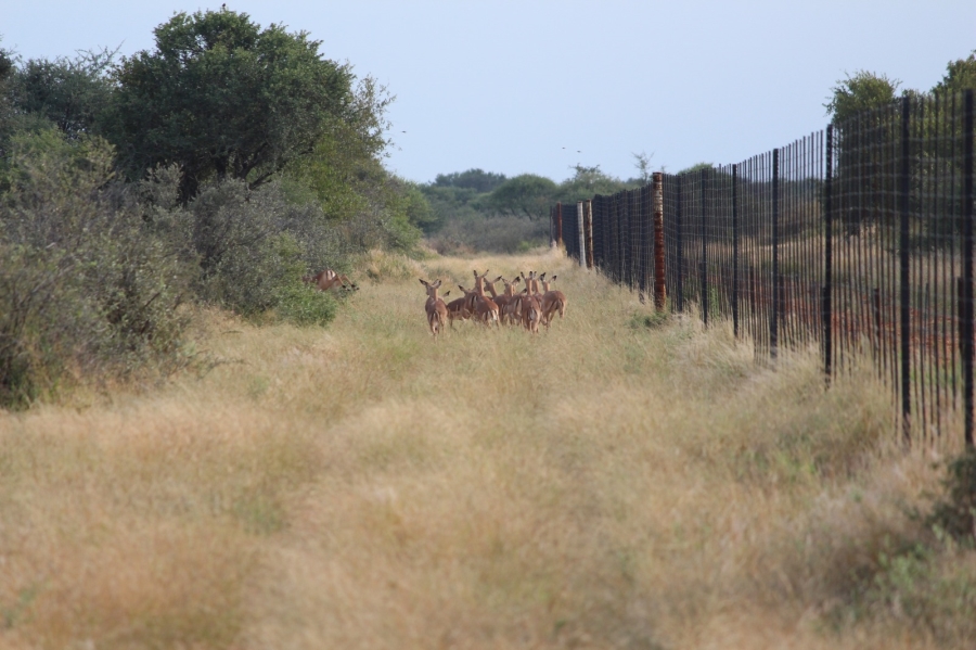 4 Bedroom Property for Sale in Thabazimbi Limpopo