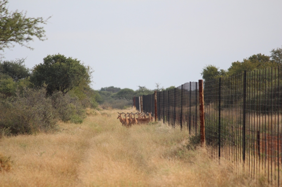 4 Bedroom Property for Sale in Thabazimbi Limpopo