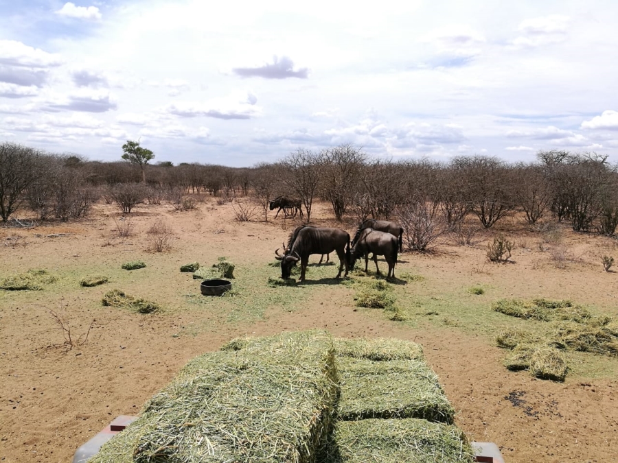 4 Bedroom Property for Sale in Thabazimbi Limpopo