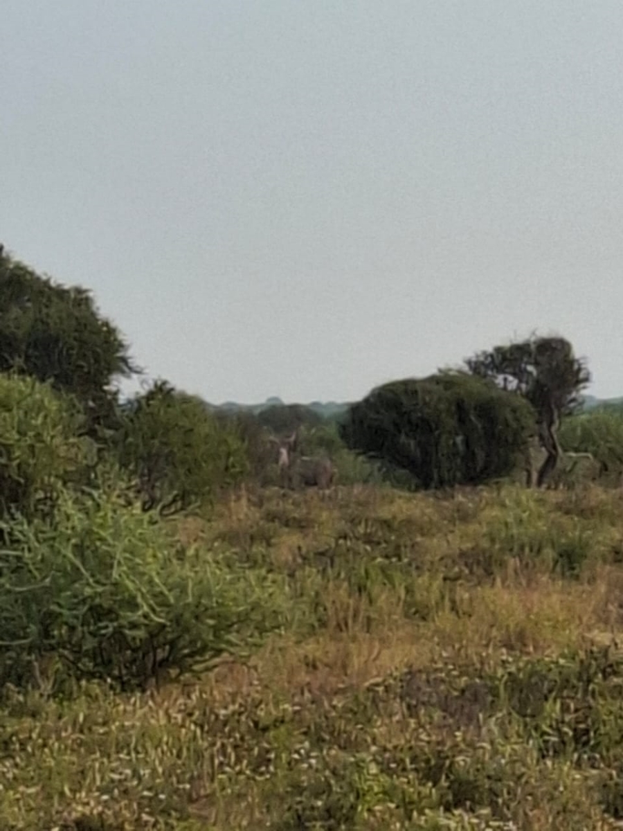 4 Bedroom Property for Sale in Thabazimbi Limpopo