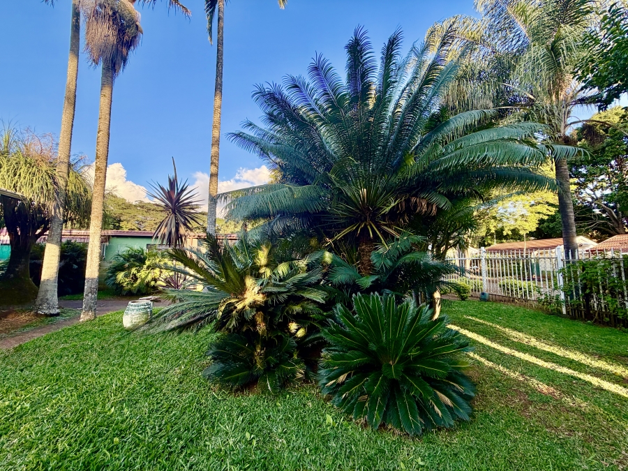 4 Bedroom Property for Sale in Louis Trichardt Limpopo