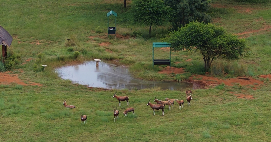 9 Bedroom Property for Sale in Dwaalboom Limpopo