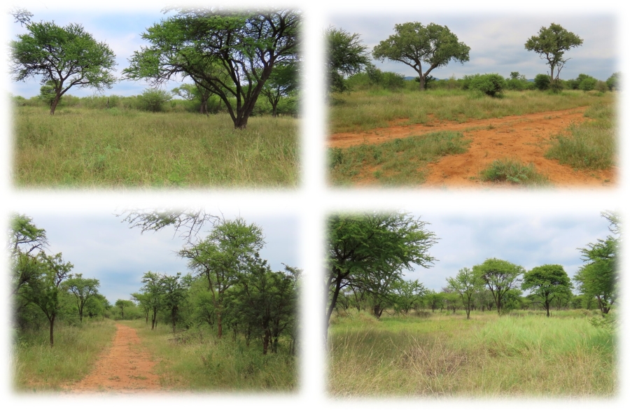 9 Bedroom Property for Sale in Dwaalboom Limpopo