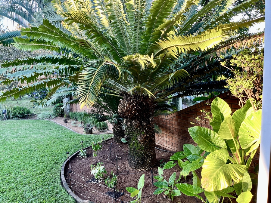 3 Bedroom Property for Sale in Bela Bela Limpopo