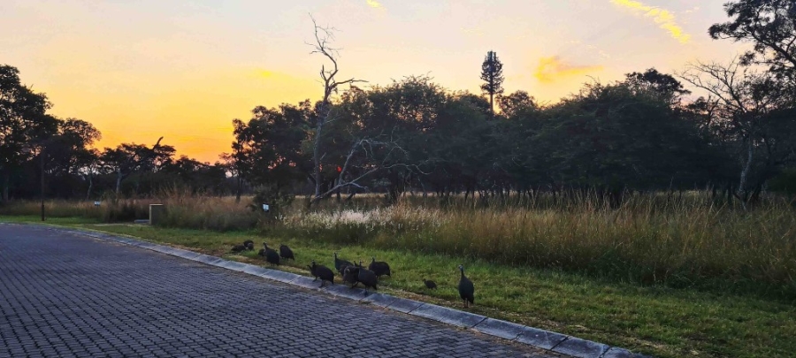 0 Bedroom Property for Sale in Koro Creek Golf Estate Limpopo