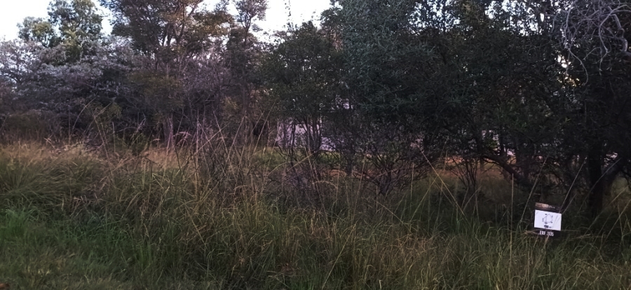 0 Bedroom Property for Sale in Koro Creek Golf Estate Limpopo