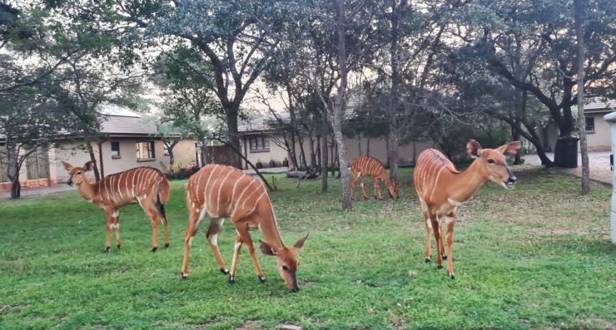 0 Bedroom Property for Sale in Koro Creek Golf Estate Limpopo