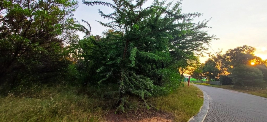 0 Bedroom Property for Sale in Koro Creek Golf Estate Limpopo