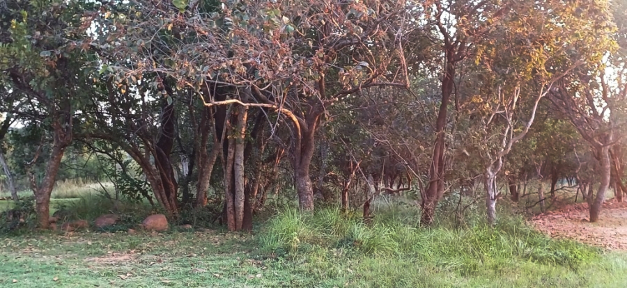 0 Bedroom Property for Sale in Koro Creek Golf Estate Limpopo