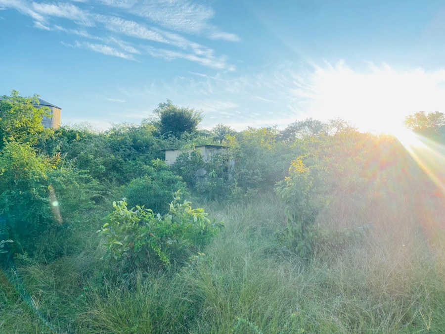 0 Bedroom Property for Sale in Makhuvha B Limpopo