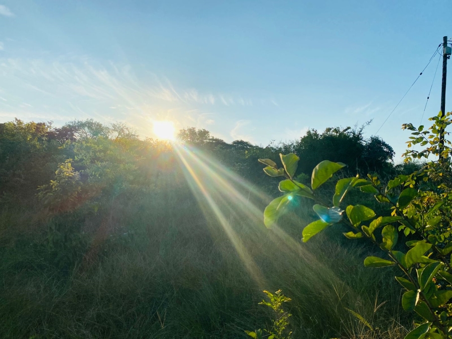 0 Bedroom Property for Sale in Makhuvha B Limpopo