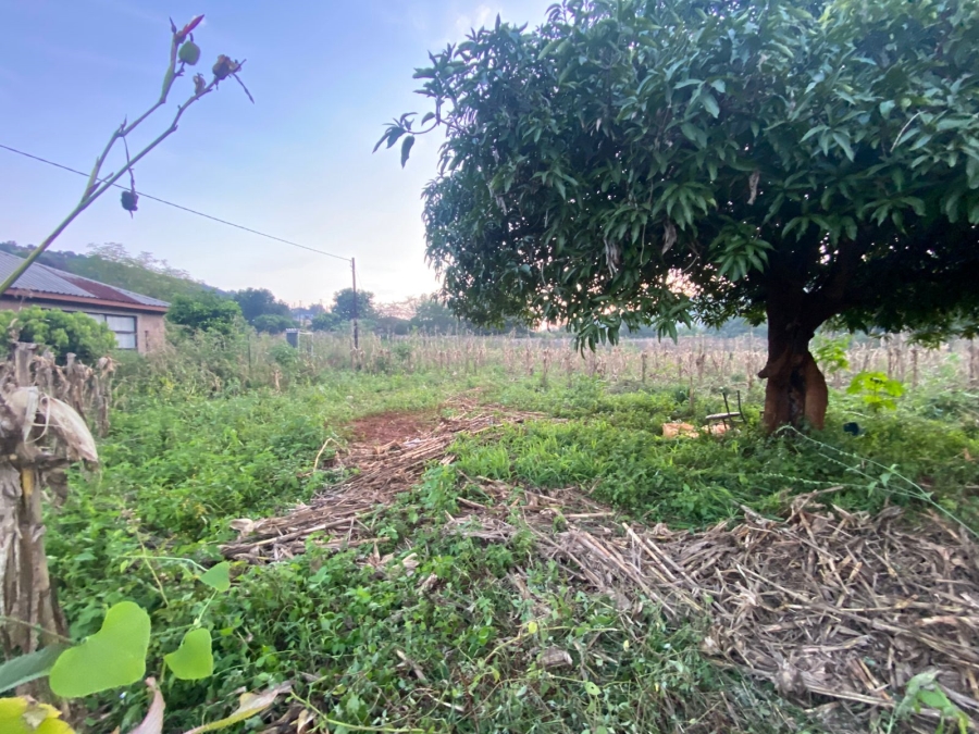 Commercial Property for Sale in Ngovhela Limpopo