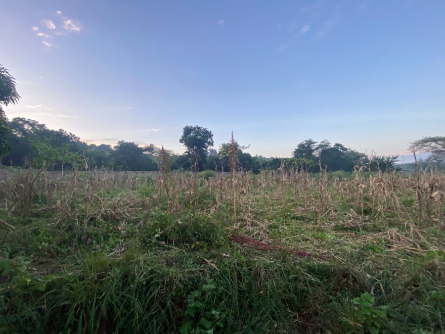 Commercial Property for Sale in Ngovhela Limpopo