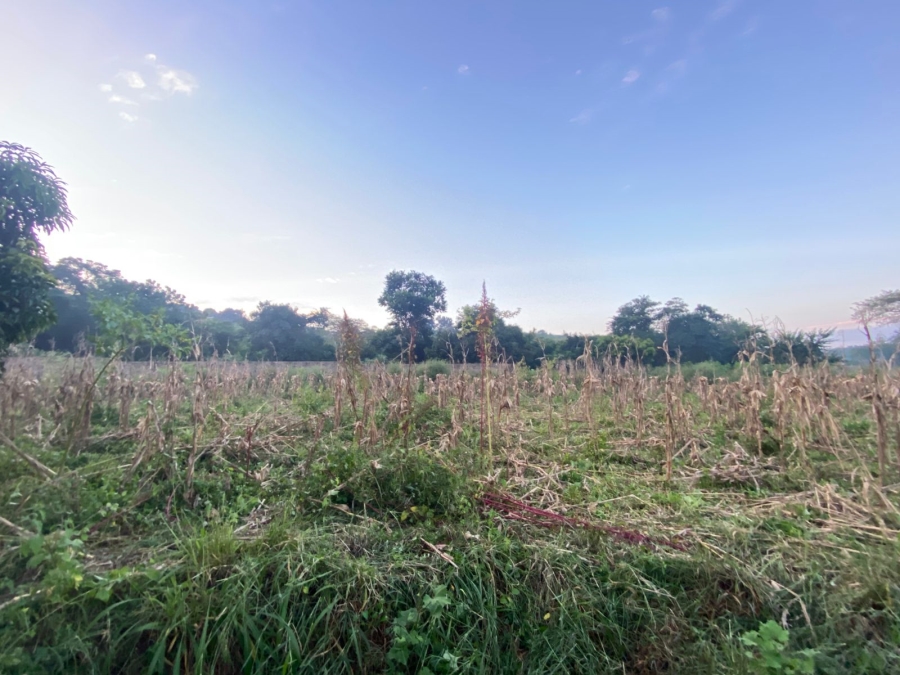 Commercial Property for Sale in Ngovhela Limpopo