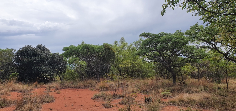 0 Bedroom Property for Sale in Nylsoog Wind and Eco Estate Limpopo