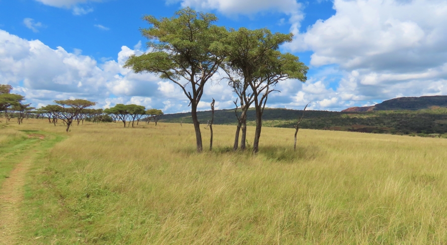 7 Bedroom Property for Sale in Vaalwater Limpopo