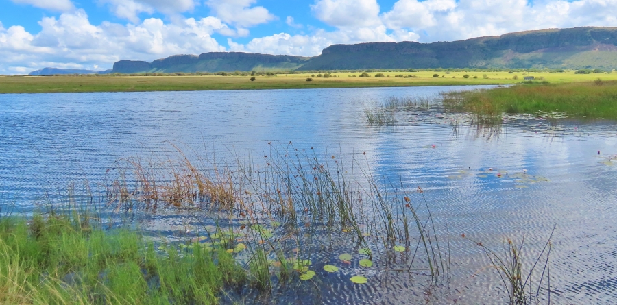 7 Bedroom Property for Sale in Vaalwater Limpopo