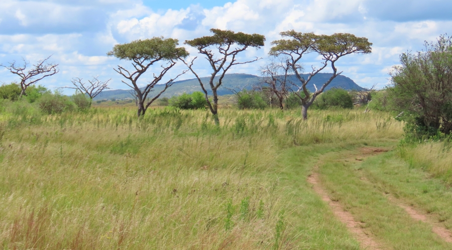 7 Bedroom Property for Sale in Vaalwater Limpopo