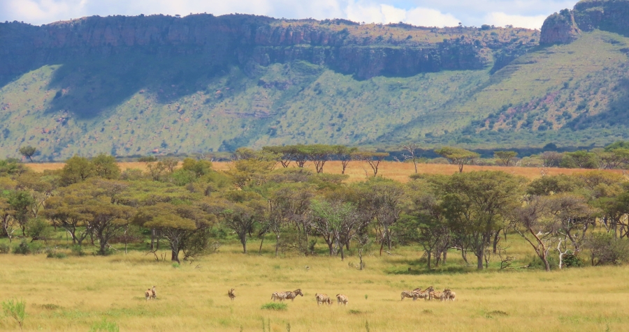 7 Bedroom Property for Sale in Vaalwater Limpopo