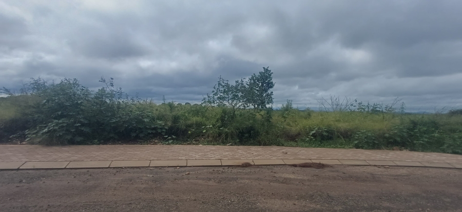 0 Bedroom Property for Sale in Louis Trichardt Limpopo