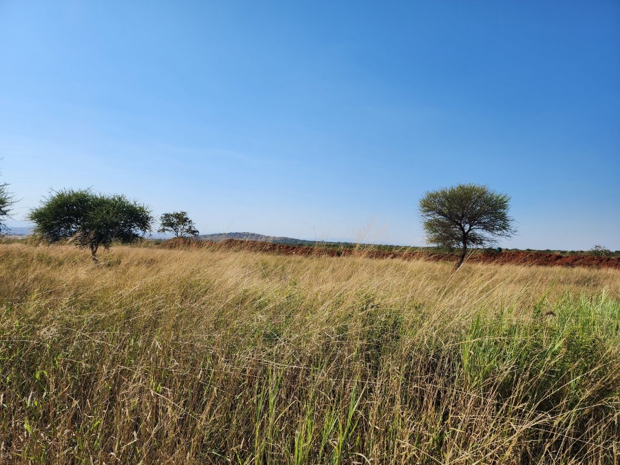 0 Bedroom Property for Sale in Dalmada A H Limpopo